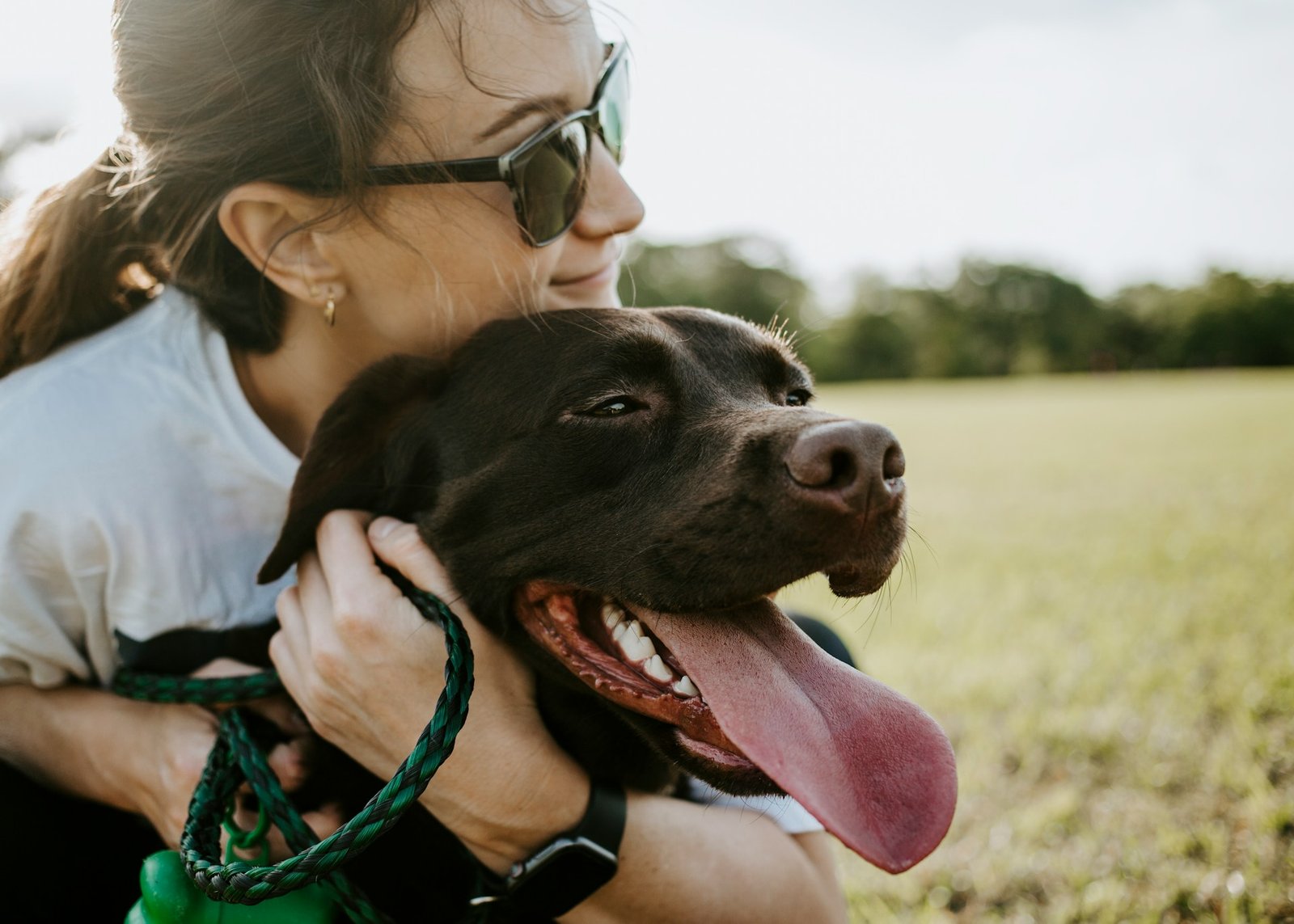 Chien accompagné de sa maîtresse lors d'une sortie — formation ACACED option chien